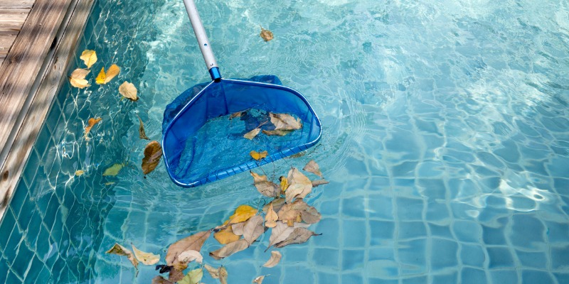 cleaning leaves in pool with skimmer