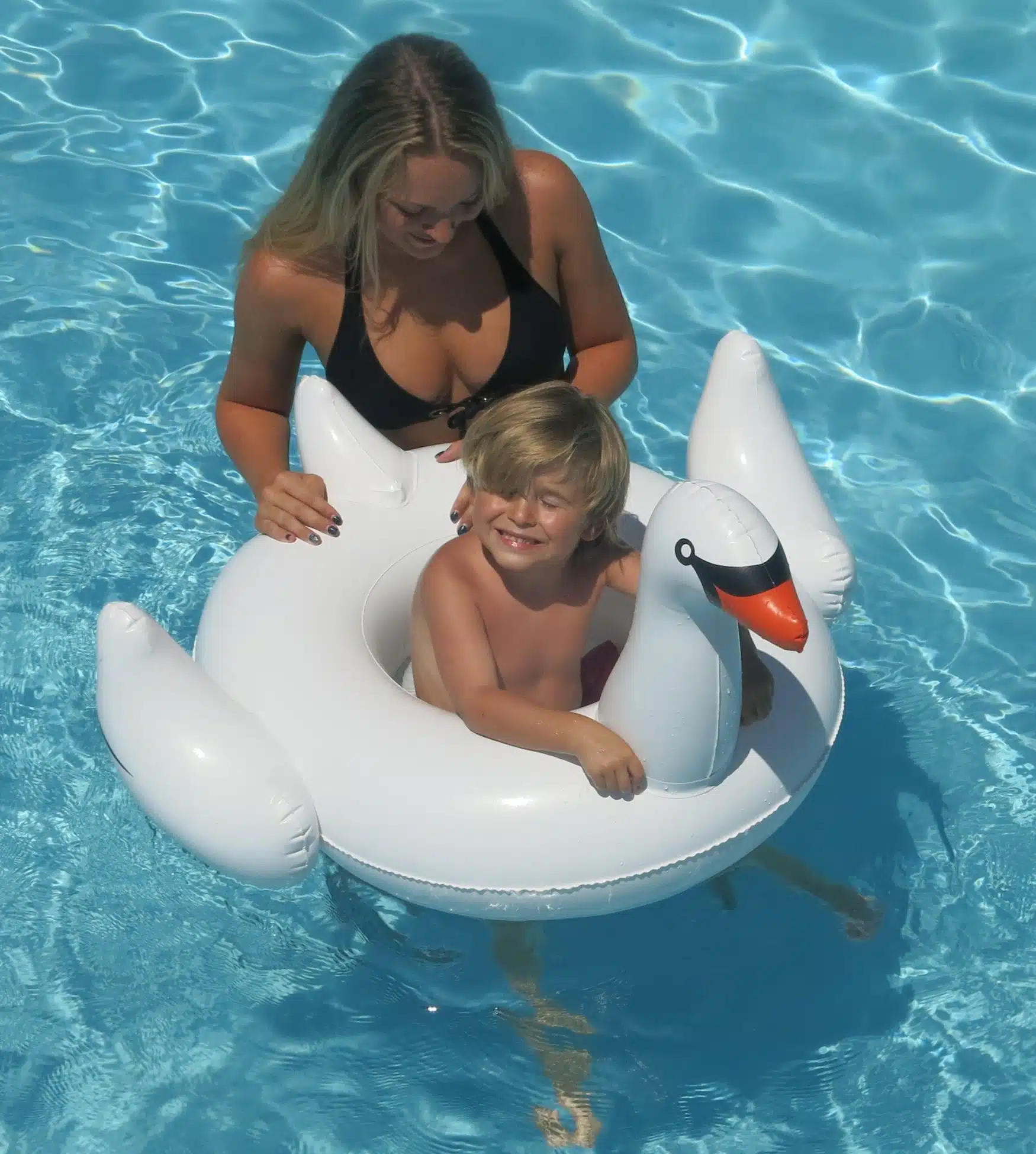 98400 swan with Model e1486494644965